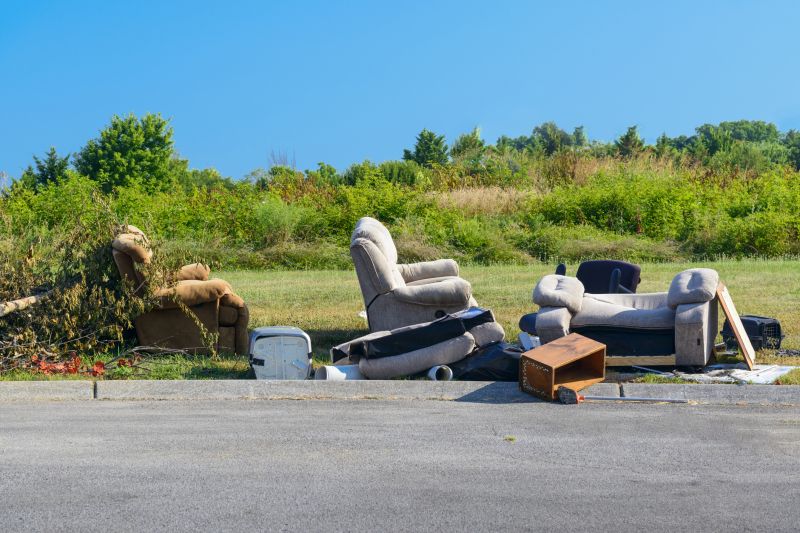 Furniture Removal Service detail