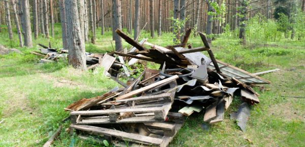 Debris Removal Service in Davenport